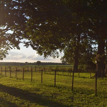 Ferienhaus Grafenland Dersum Exteriör bild