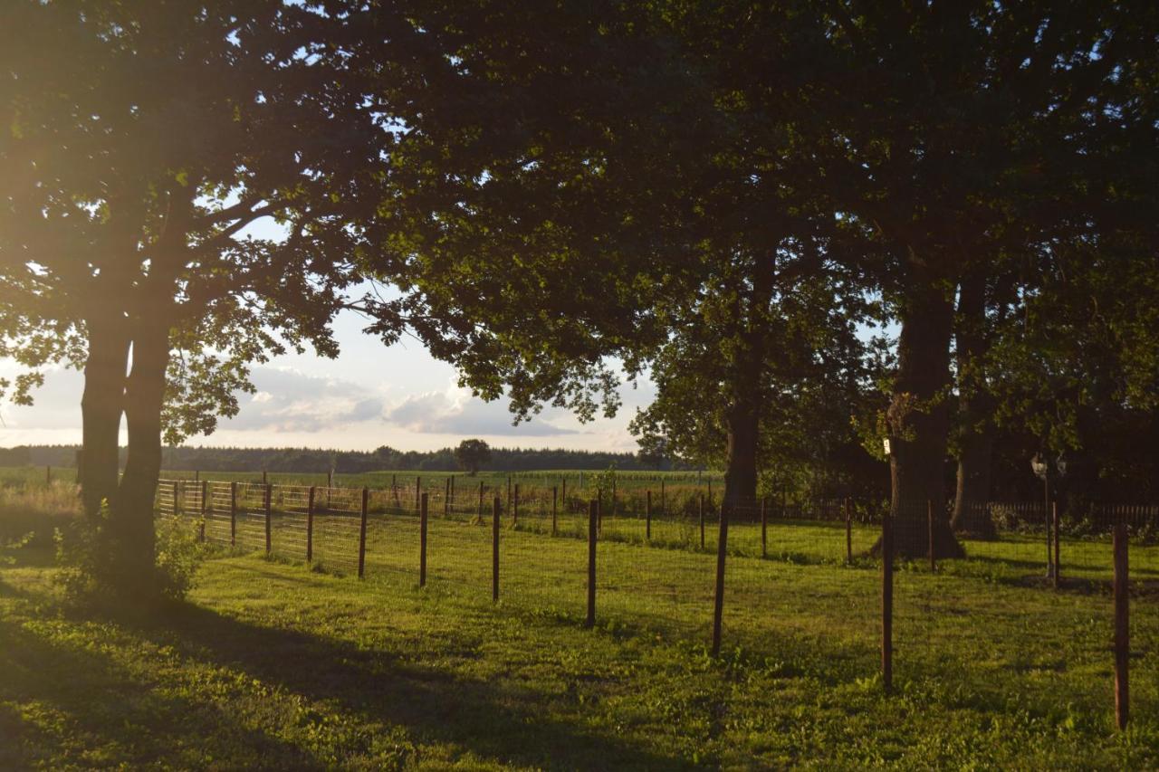 Ferienhaus Grafenland Dersum Exteriör bild
